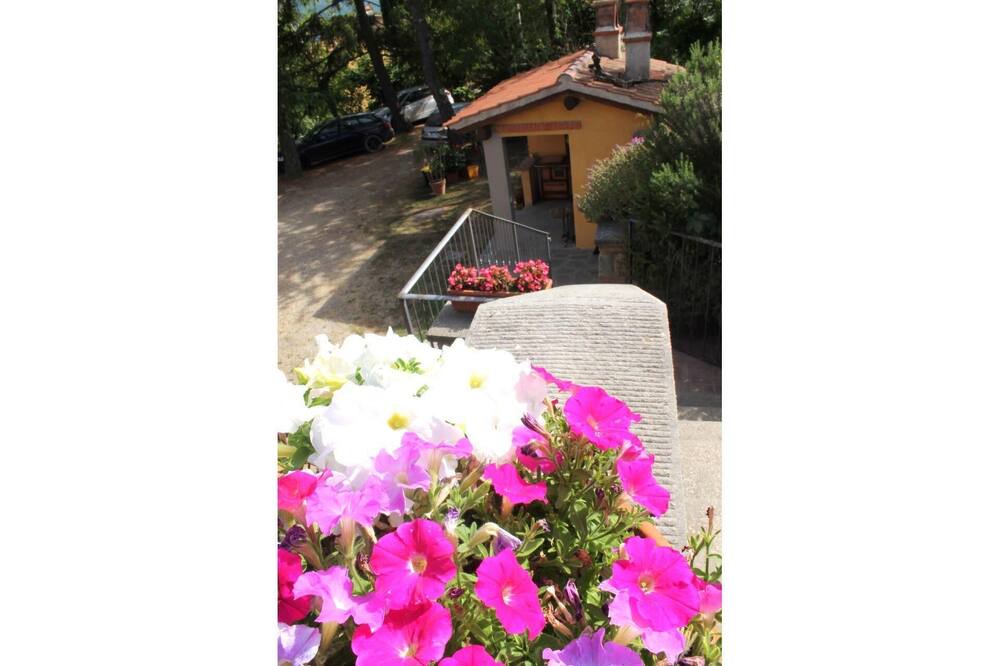 Photo of Outdoor in Pieve di Chio