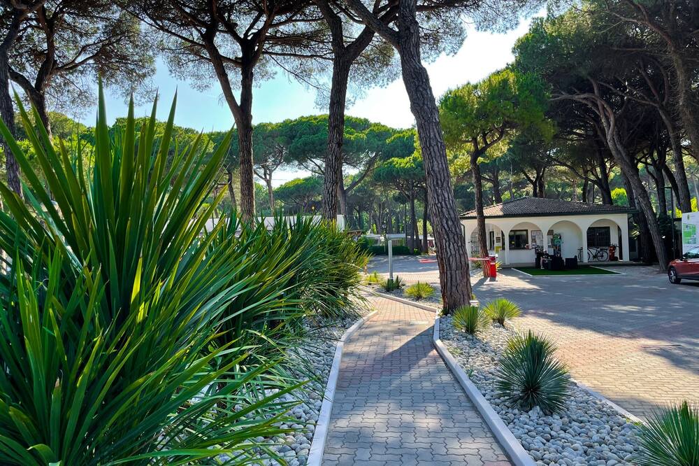 Photo of Outdoor in Marina di Ravenna
