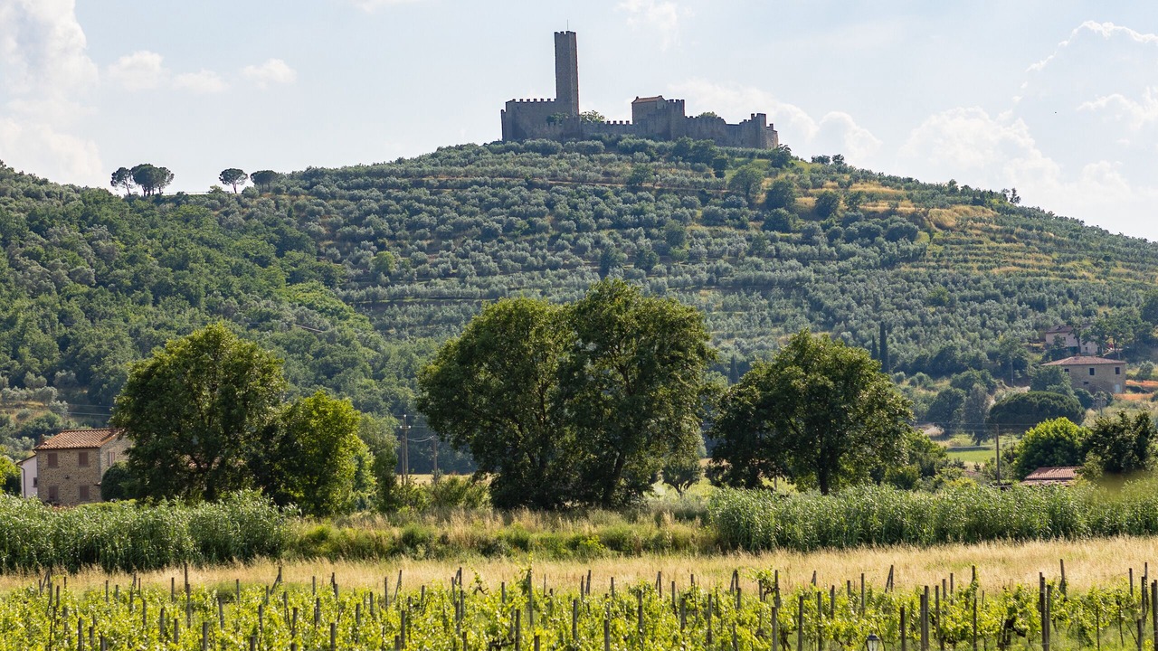 Photo of Others in Pievuccia