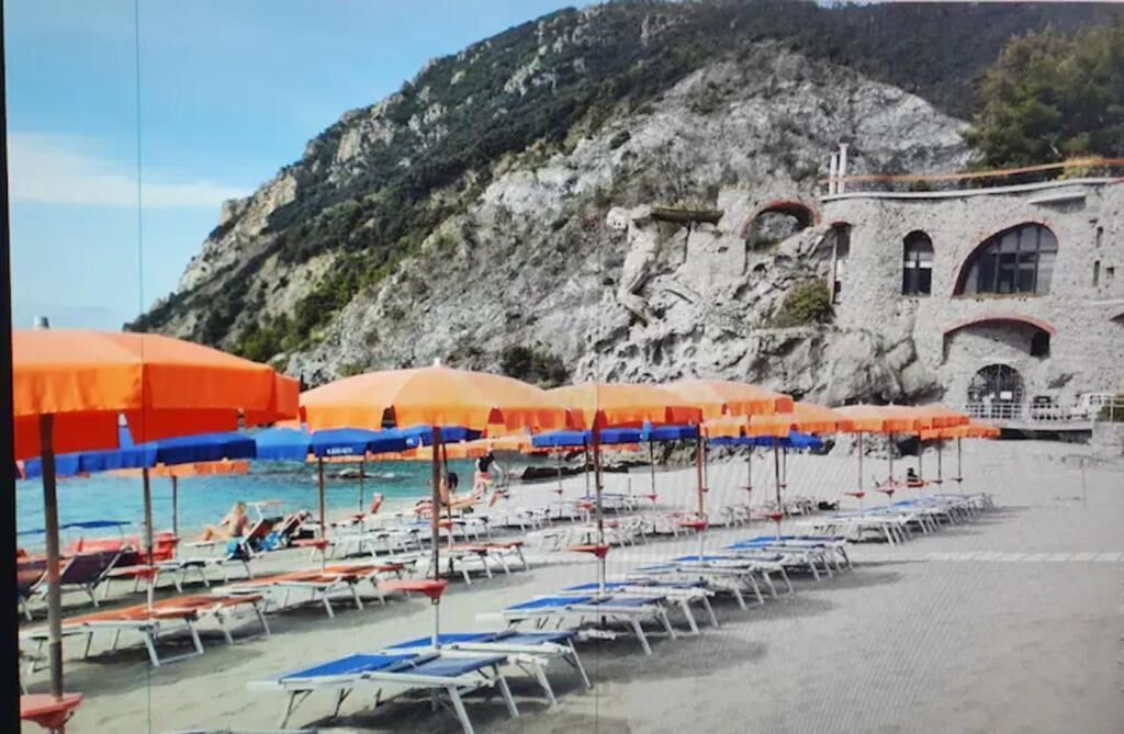 Photo of Others in Cinque Terre