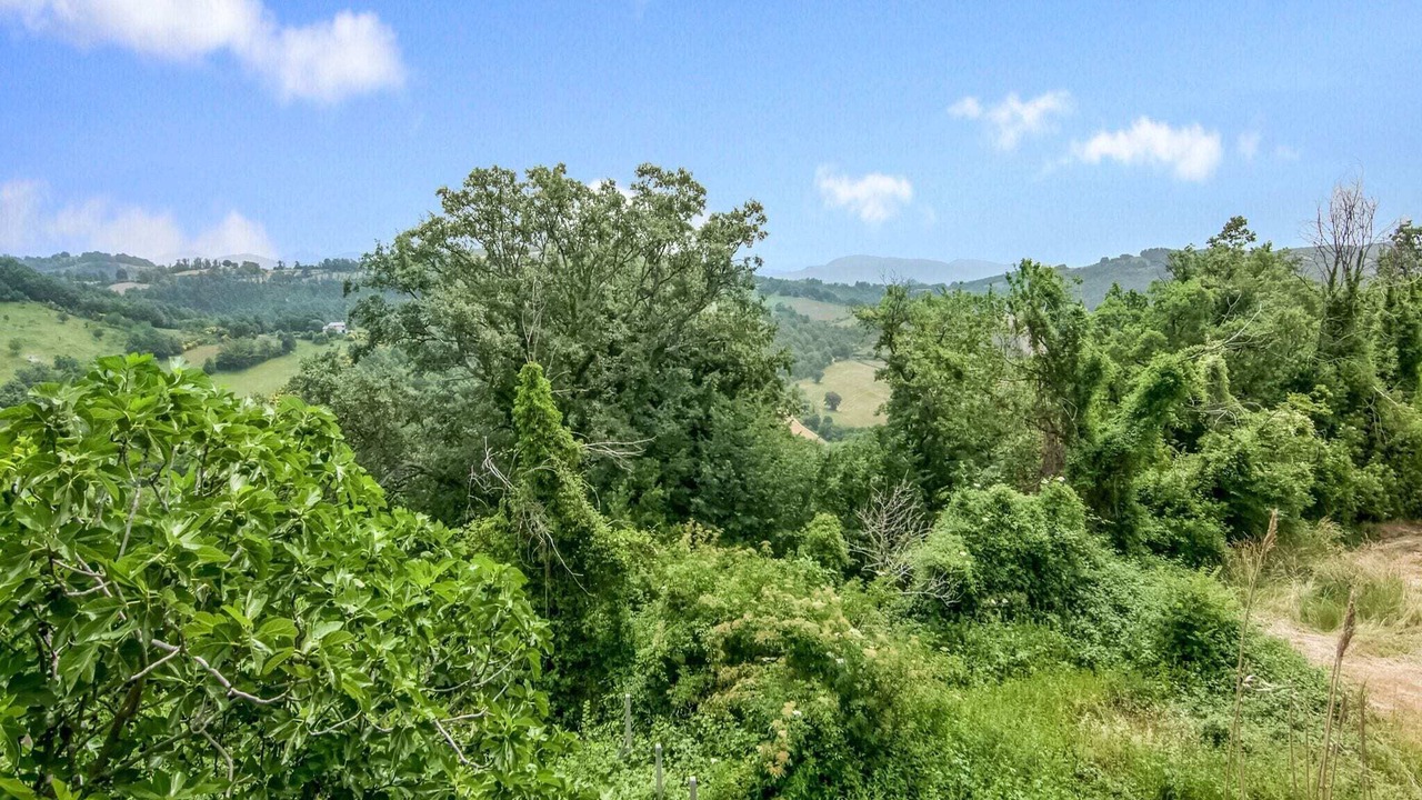 Photo of Outdoor in Assisi