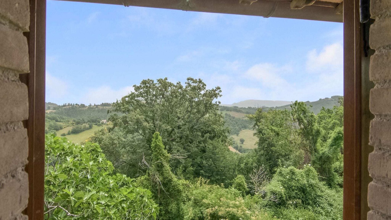 Photo of Others in Assisi