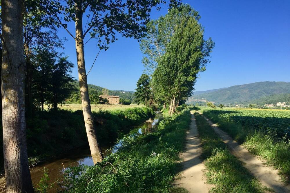 Photo of Others in Monterchi