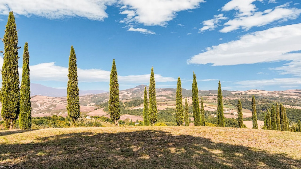 Photo of Others in Il Poggio