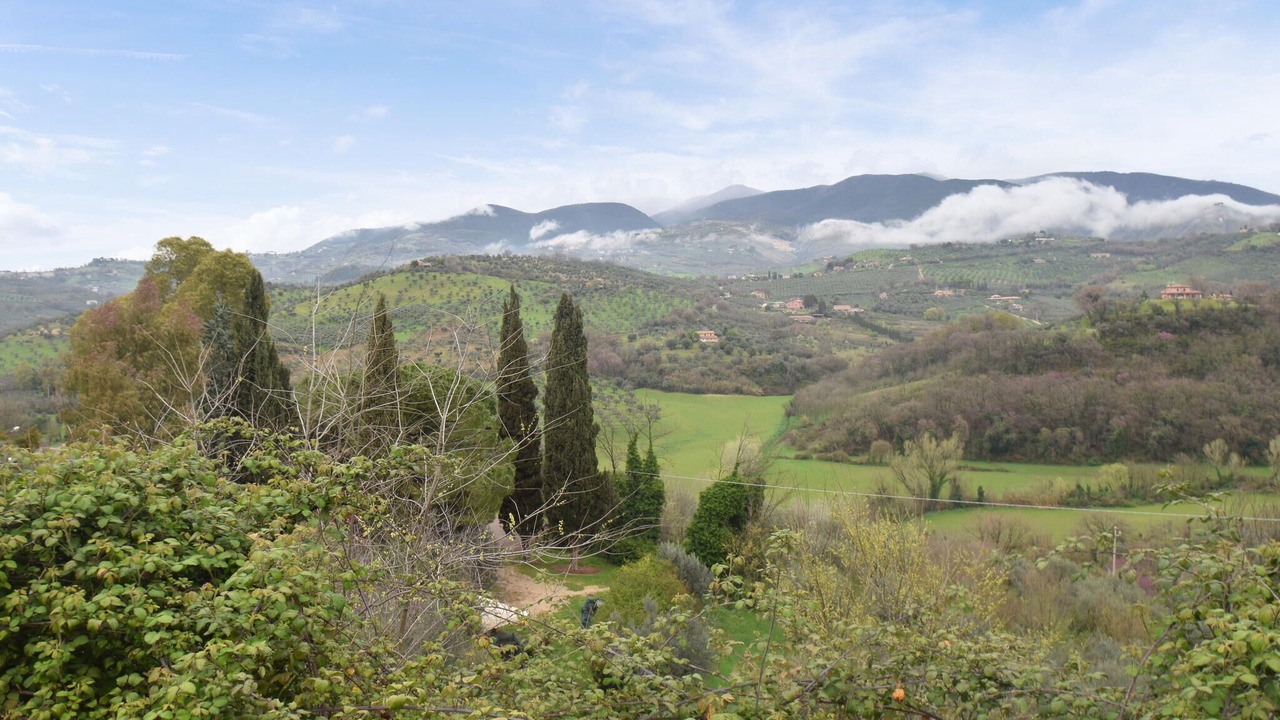 Photo of Others in Montopoli di Sabina