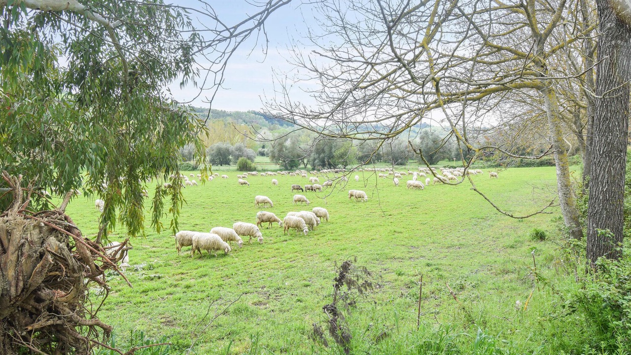 Photo of Outdoor in Montopoli di Sabina