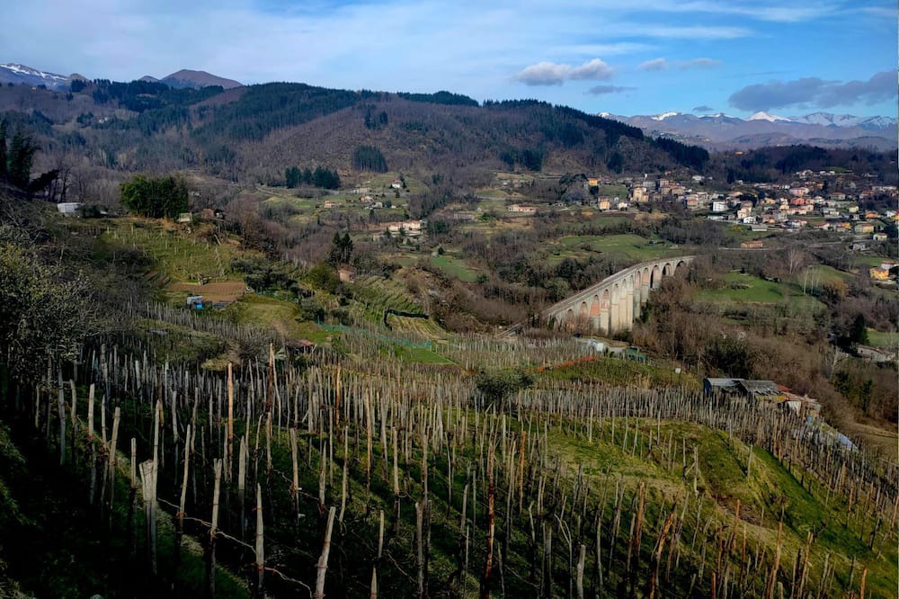 Photo of Others in Poggio