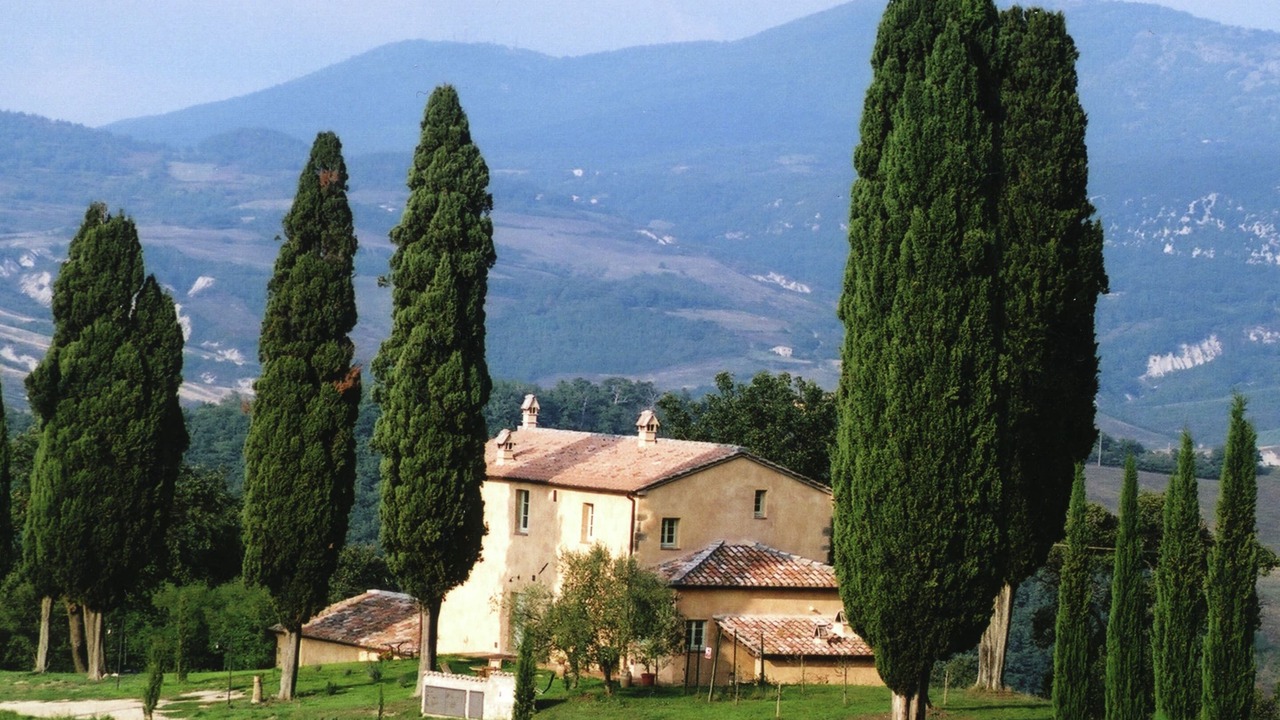 Photo of Outdoor in Celle sul Rigo