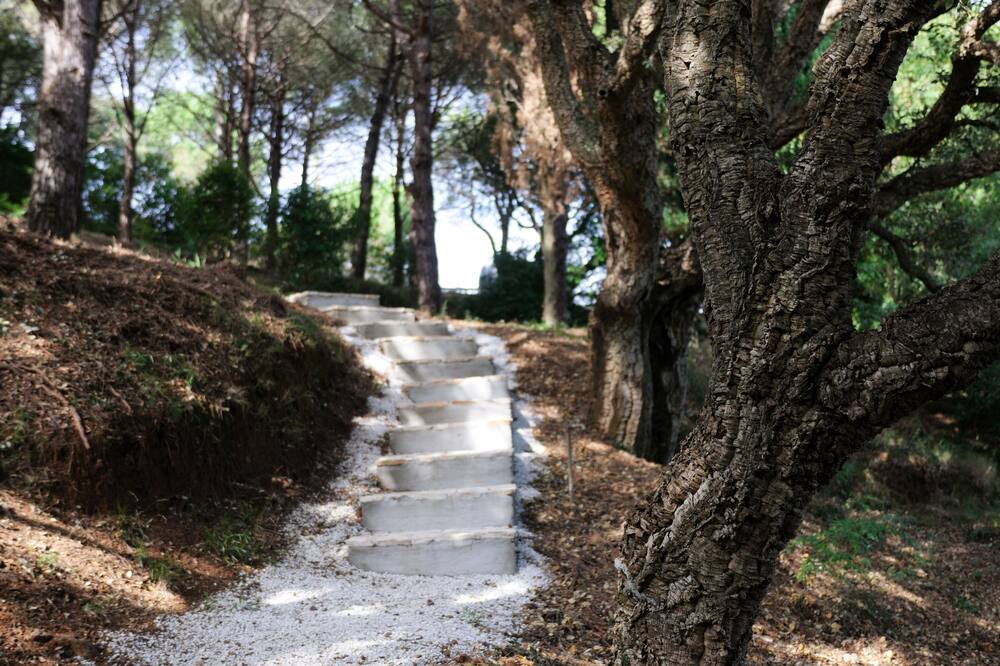 Photo of Others in Portoferraio