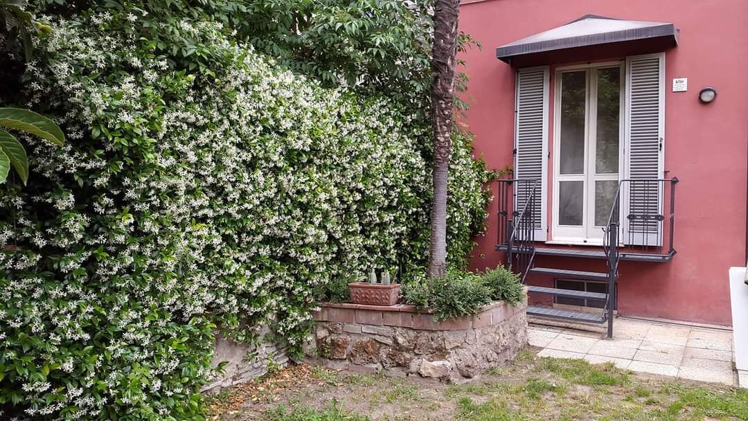 Photo of Outdoor in Terni