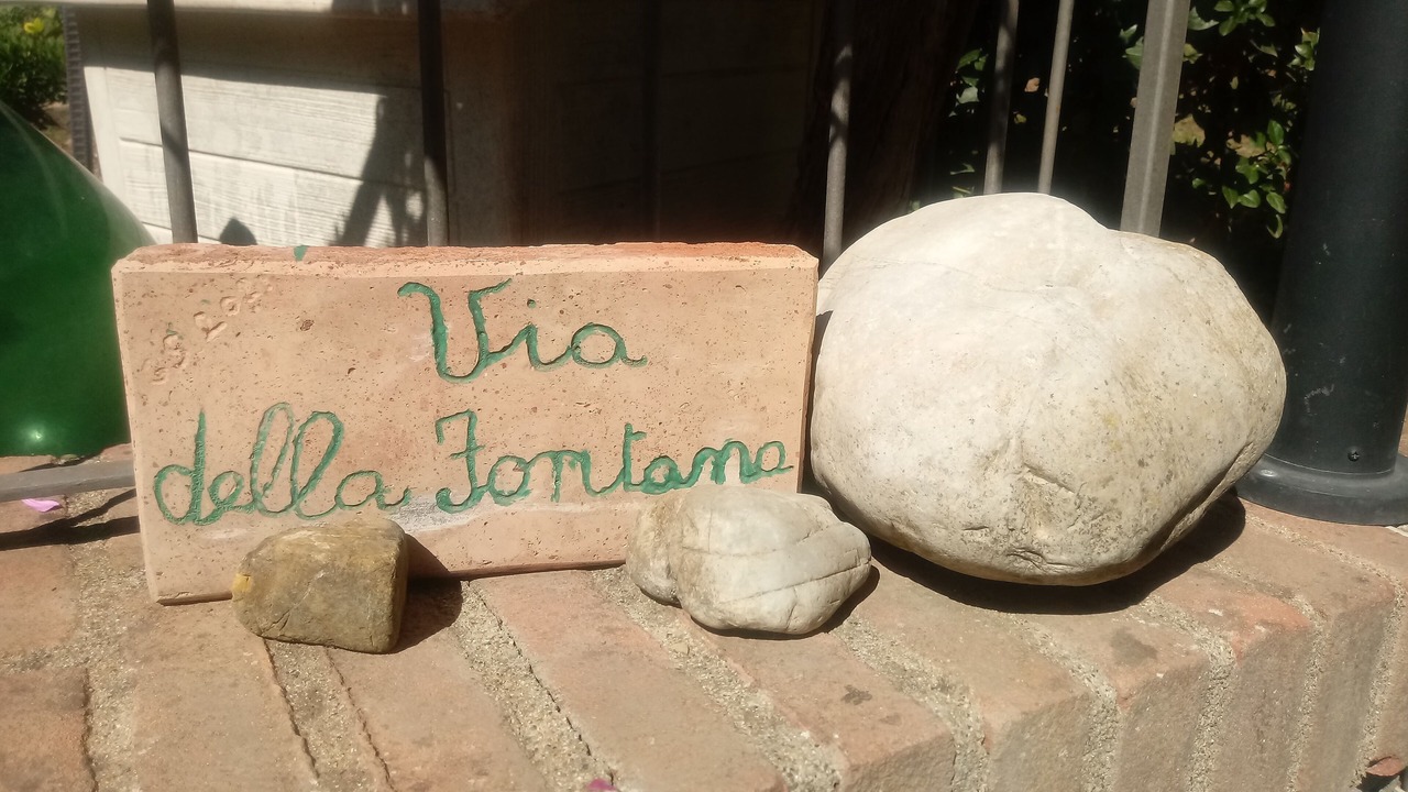 Photo of Others in Bagnoregio