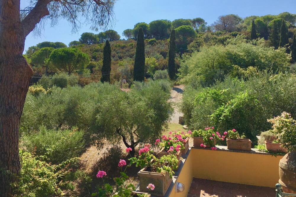 Photo of Others in Porto Ercole