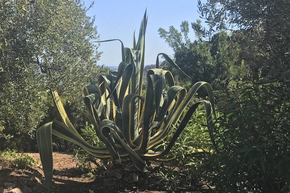 Photo of Outdoor in Porto Ercole