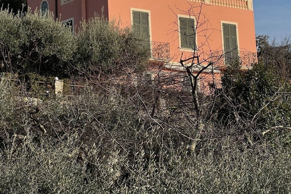 Photo of Outdoor in Recco