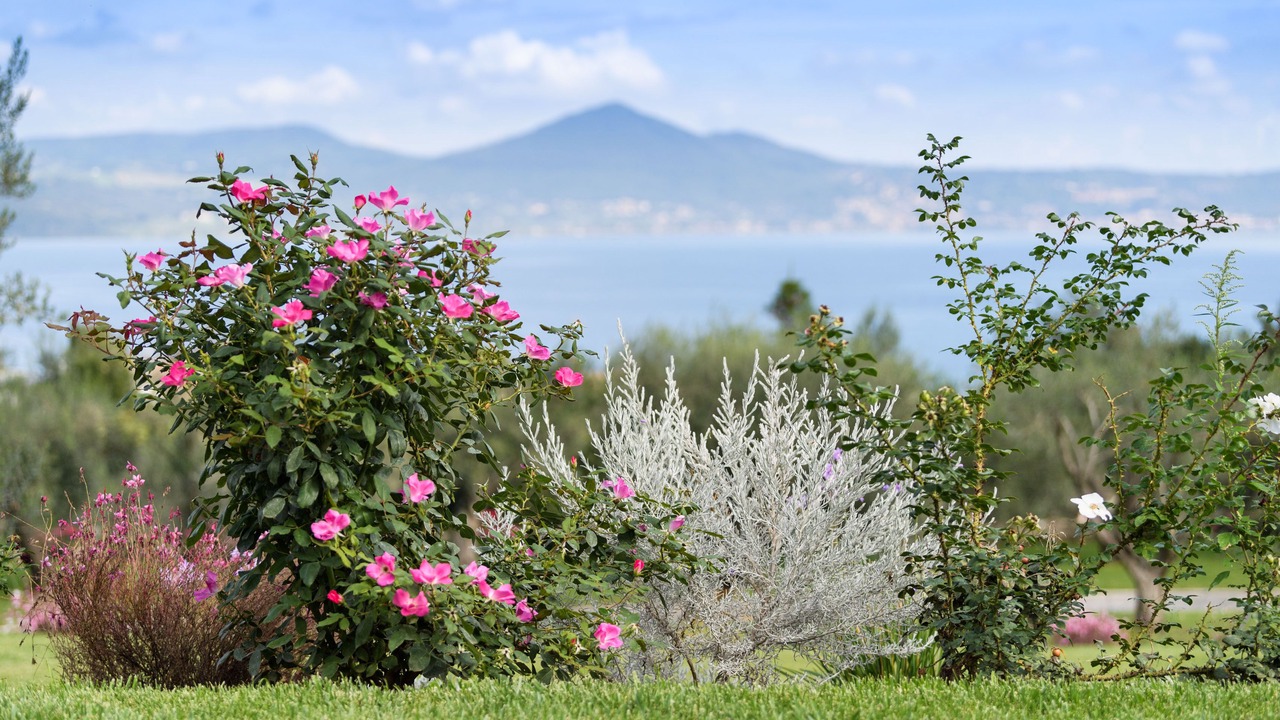 Photo of Outdoor in Lake Bracciano