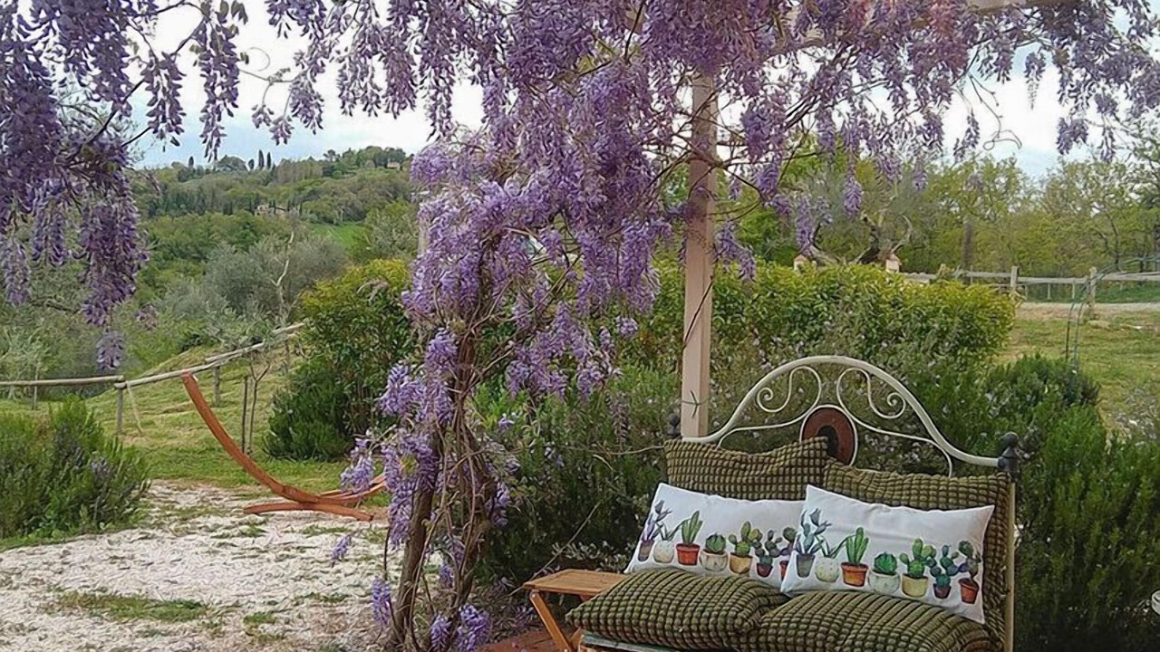 Photo of Outdoor in Il Poggio