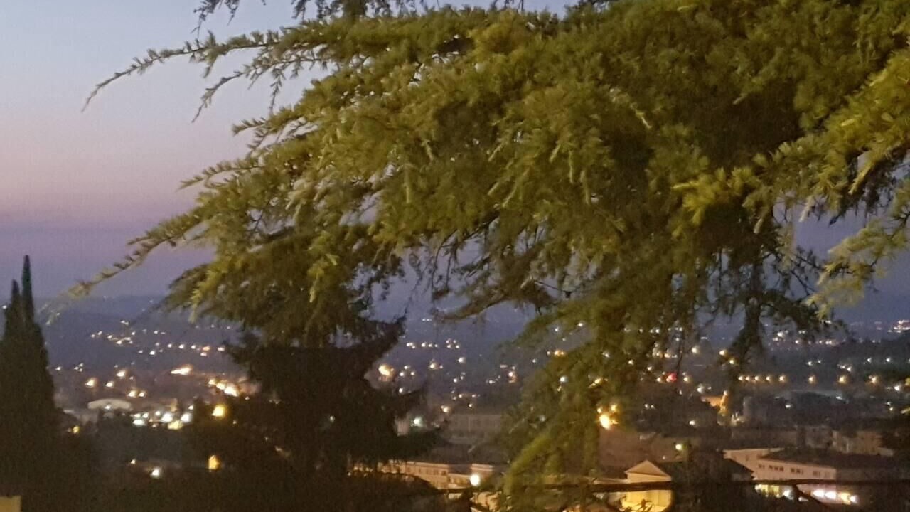 Photo of Outdoor in Montelirossi