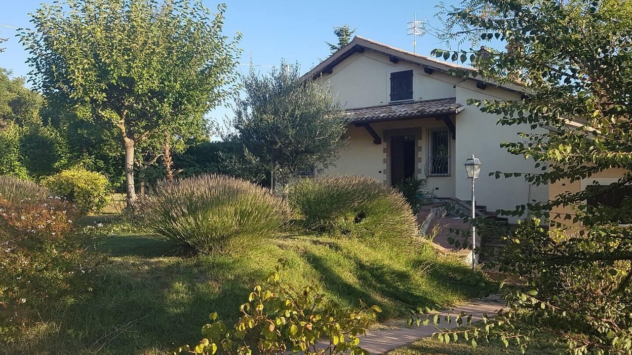 Photo of Outdoor in Montelirossi