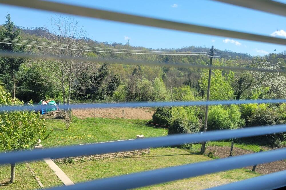 Photo of Outdoor in Sesta Godano