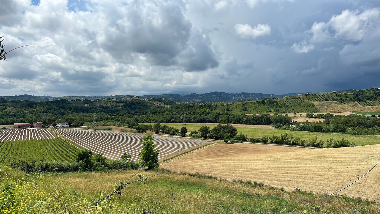 Photo of Outdoor in Elice