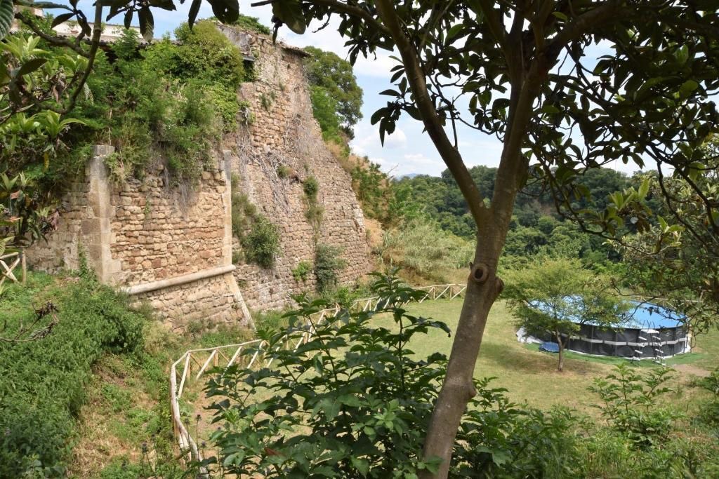 Photo of Outdoor in San Michele in Teverina