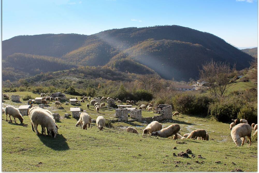 Photo of Others in Selci