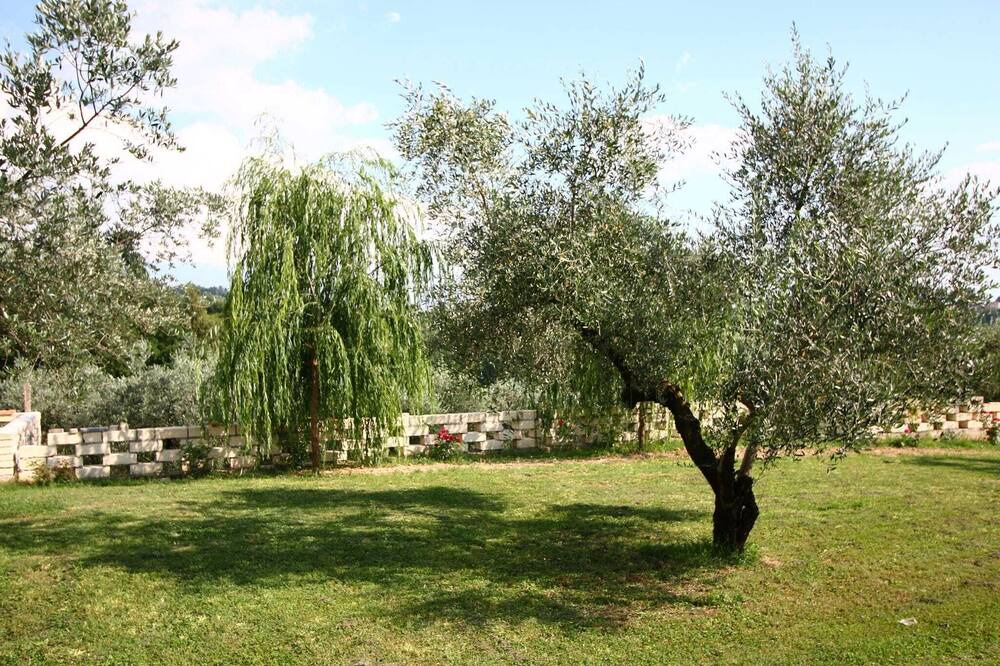 Photo of Outdoor in Selci