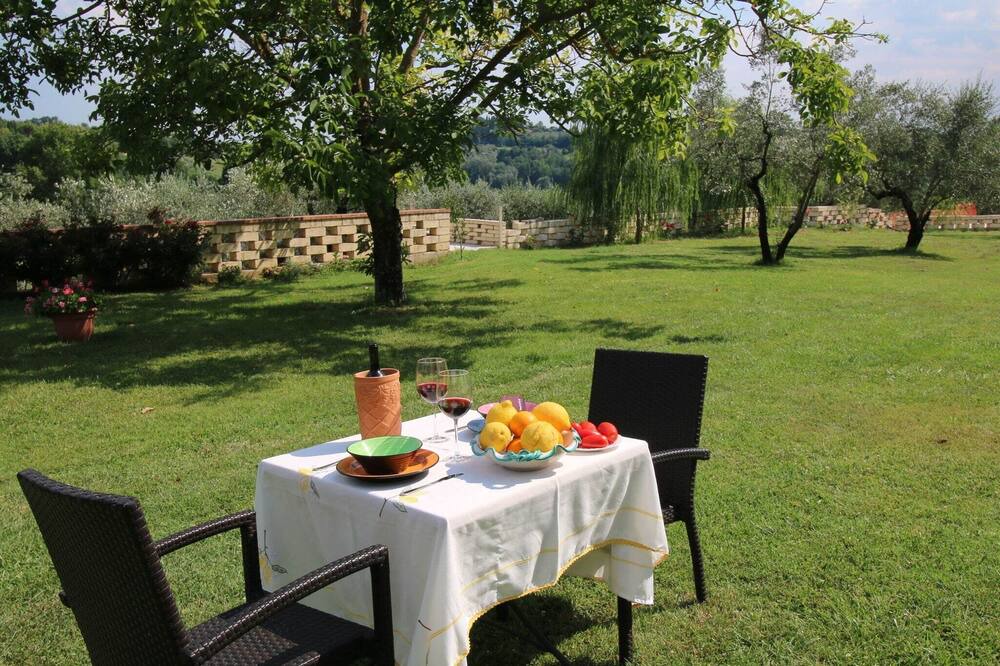 Photo of Outdoor in Selci