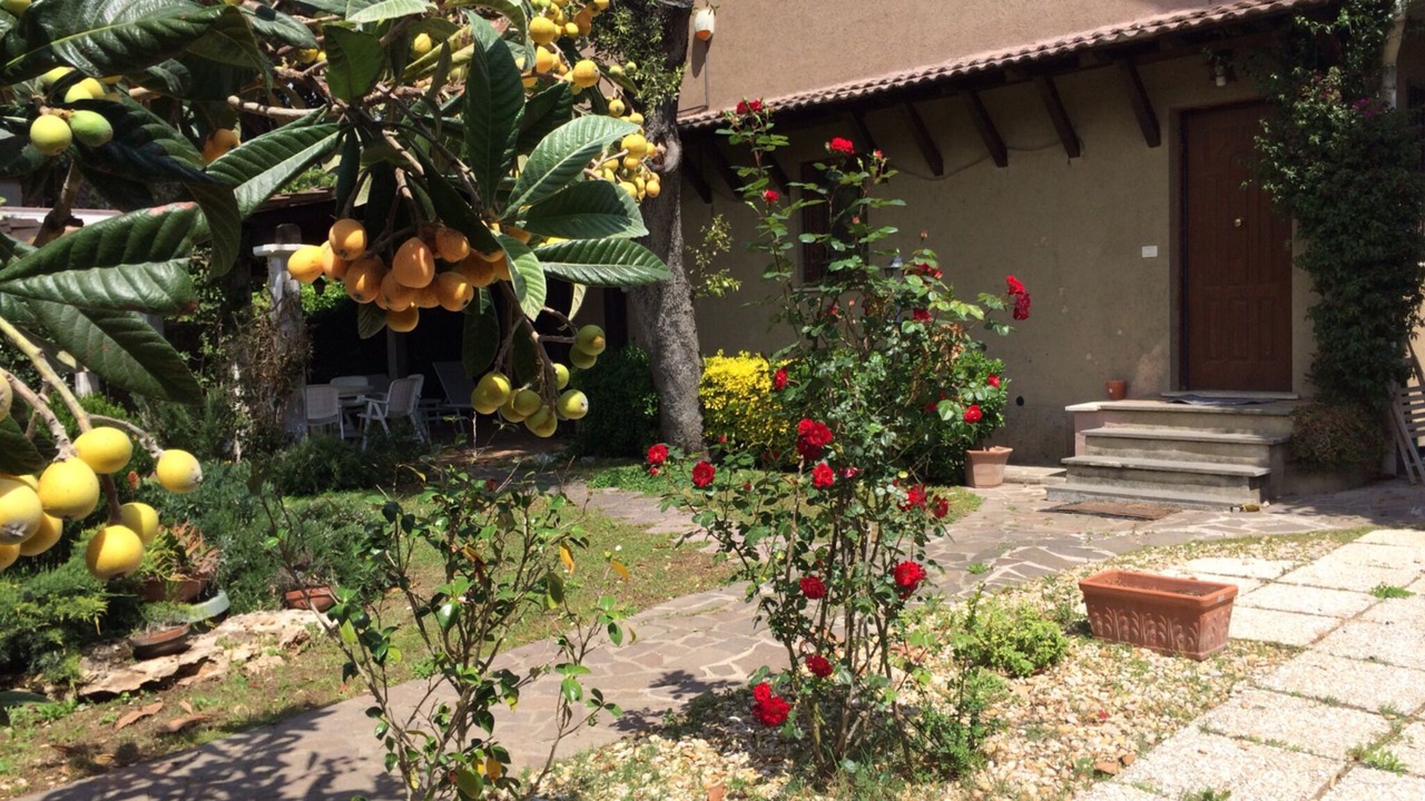 Photo of Outdoor in Anzio