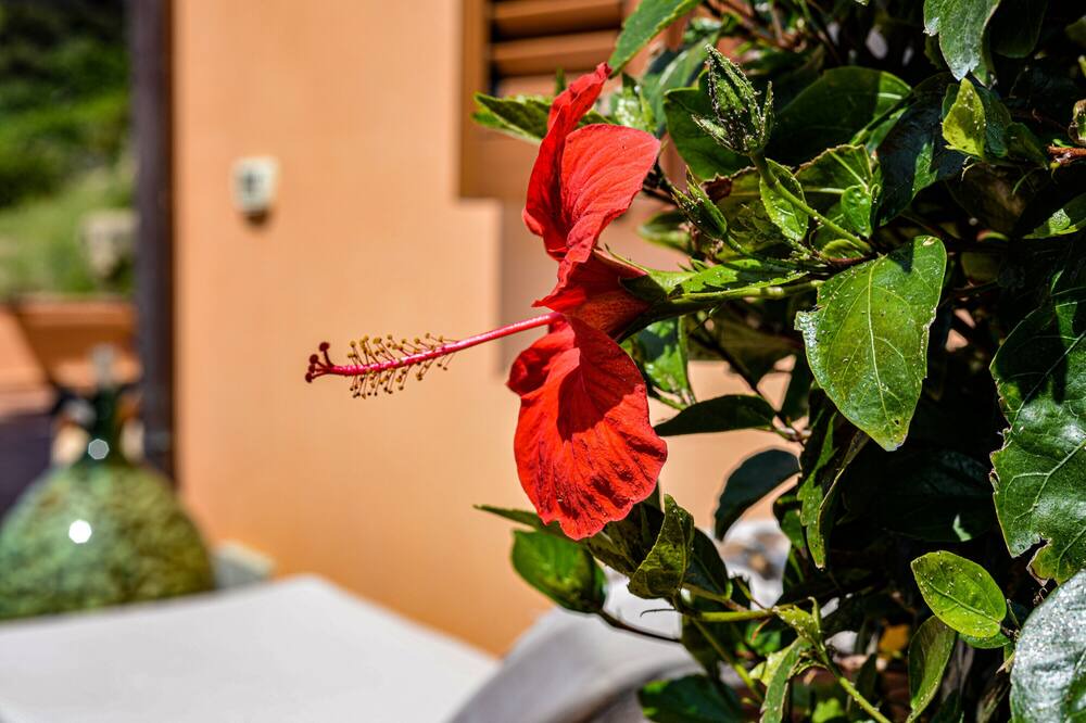 Photo of Outdoor in Scaglieri