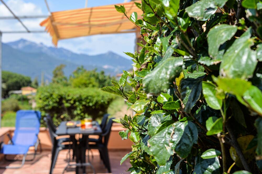 Photo of Outdoor in Scaglieri