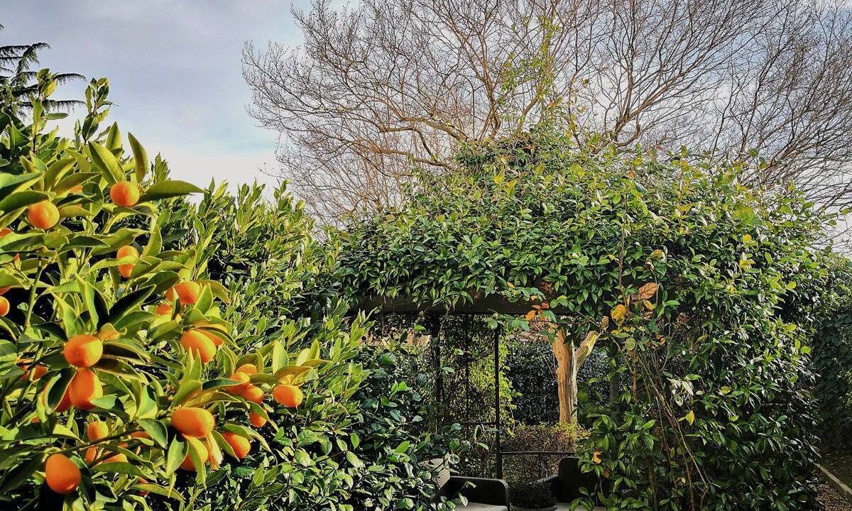 Photo of Outdoor in Tuscania