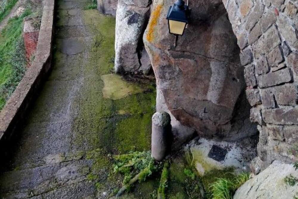 Photo of Outdoor in Vitorchiano