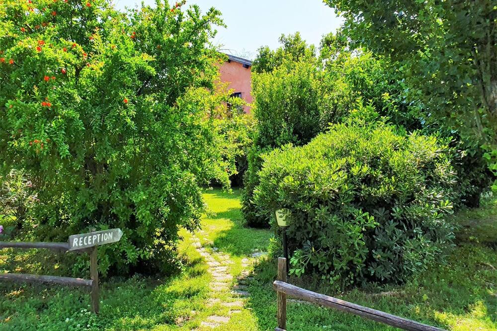 Photo of Others in Grosseto