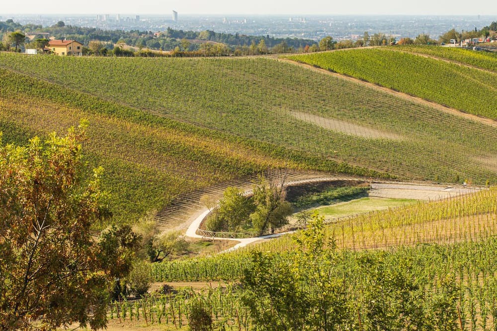 Photo of Outdoor in Castel San Pietro Terme