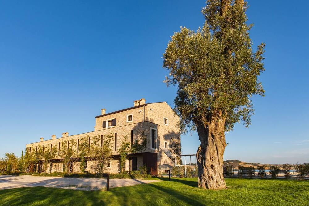 Photo of Outdoor in Castel San Pietro Terme