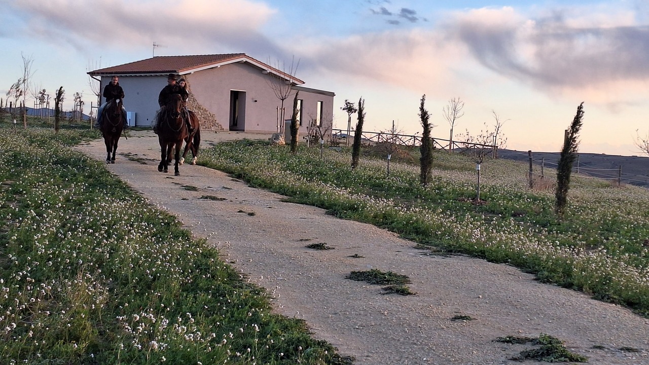Photo of Others in Tuscania