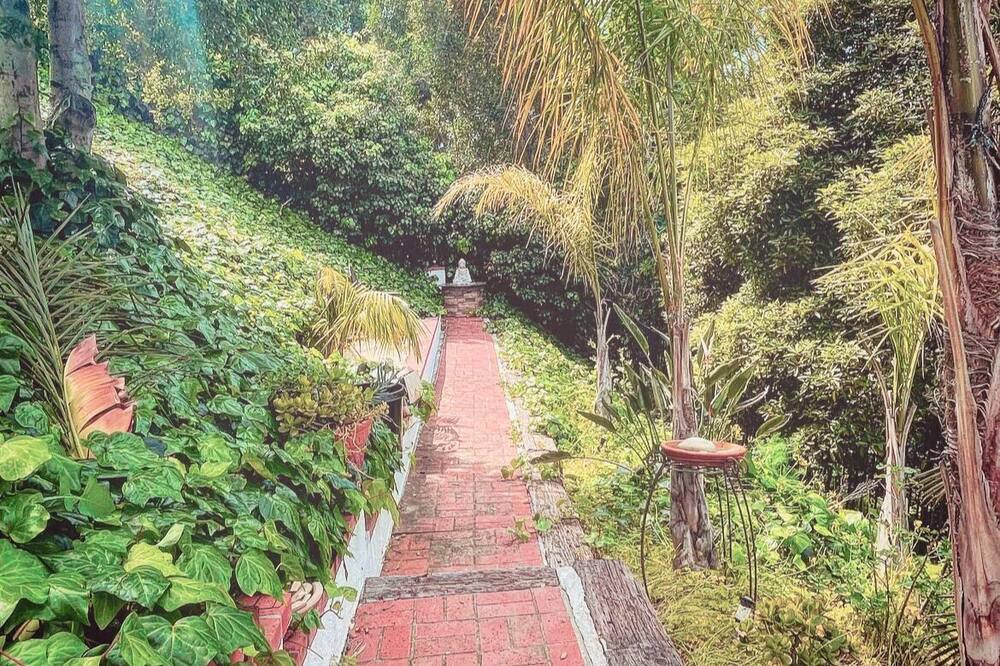 Photo of Outdoor in Hollywood Hills