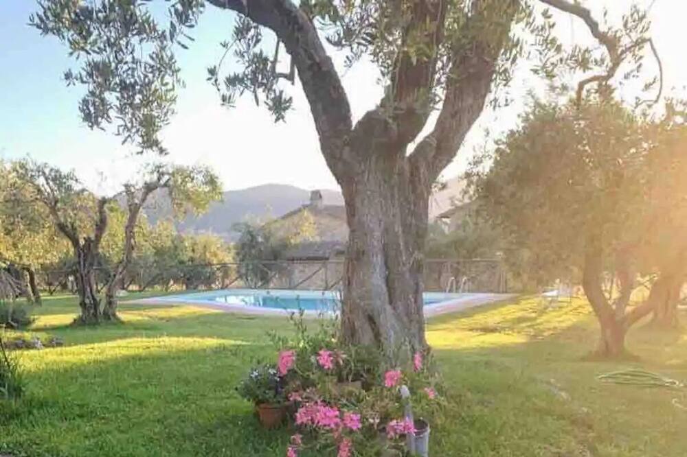 Photo of Outdoor in Avigliano Umbrio