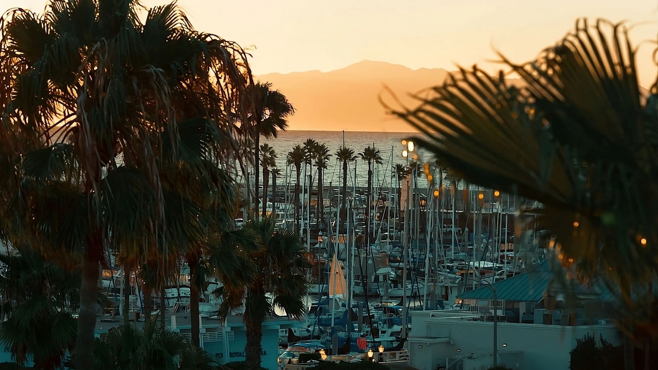 Photo of Others in South Redondo