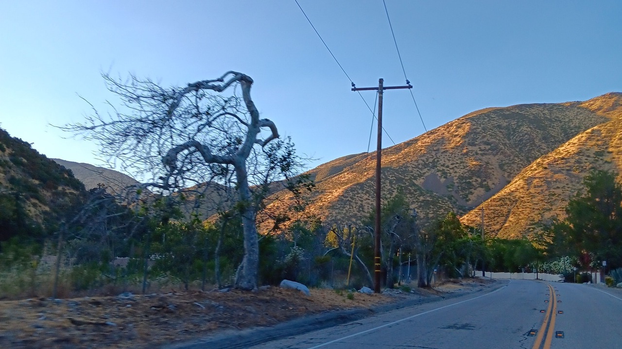 Photo of Outdoor in Lytle Creek