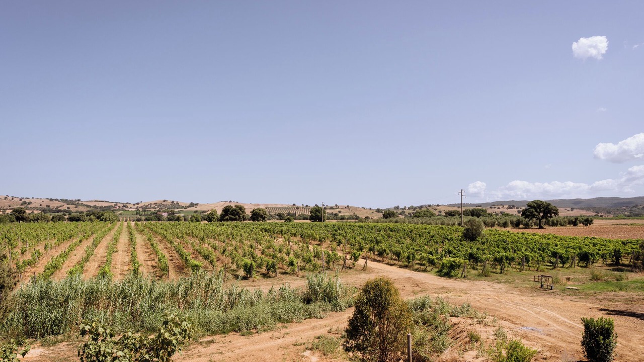 Photo of Others in Grosseto