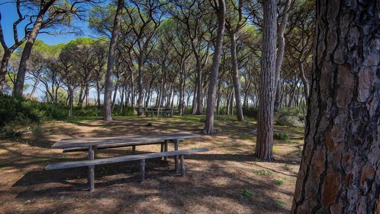 Photo of Outdoor in Riotorto