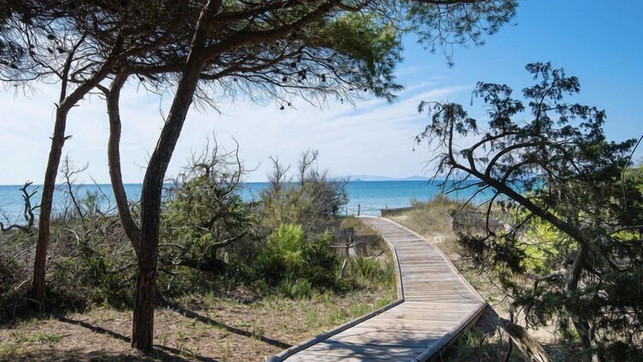 Photo of Outdoor in Riotorto
