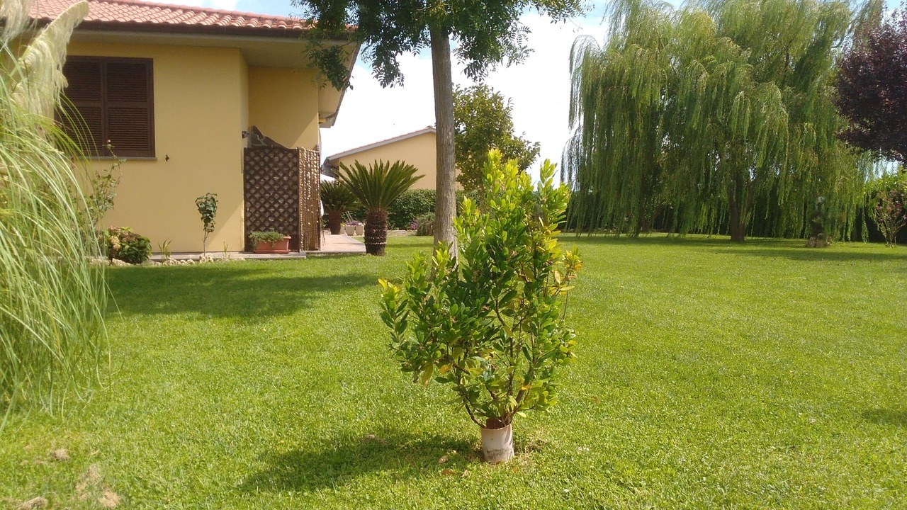 Photo of Outdoor in Pescia Romana