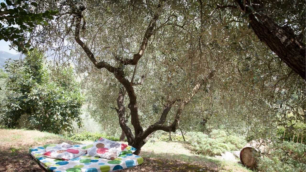 Photo of Outdoor in Massa Martana