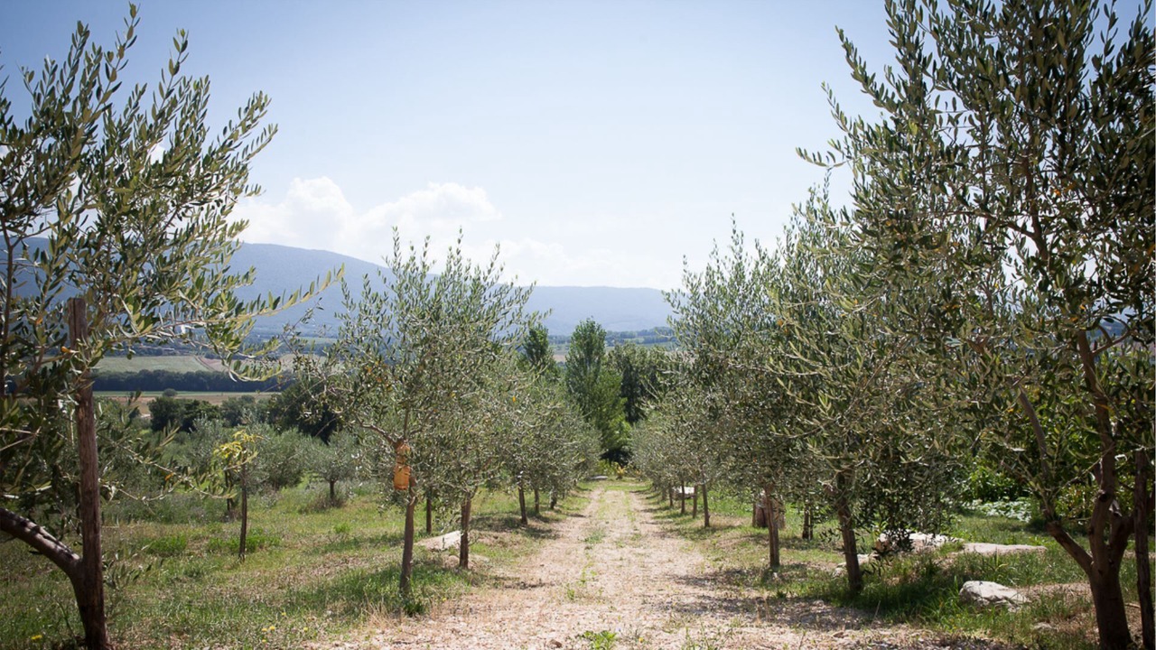 Photo of Outdoor in Massa Martana