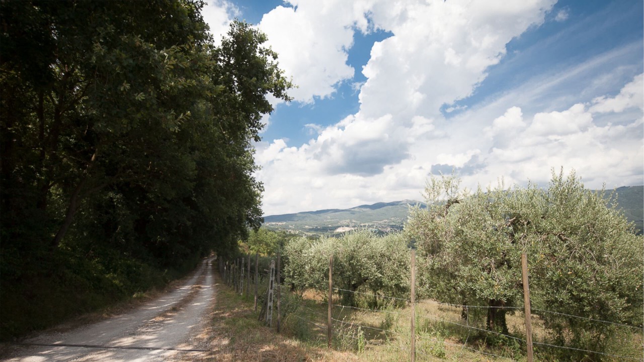 Photo of Outdoor in Massa Martana
