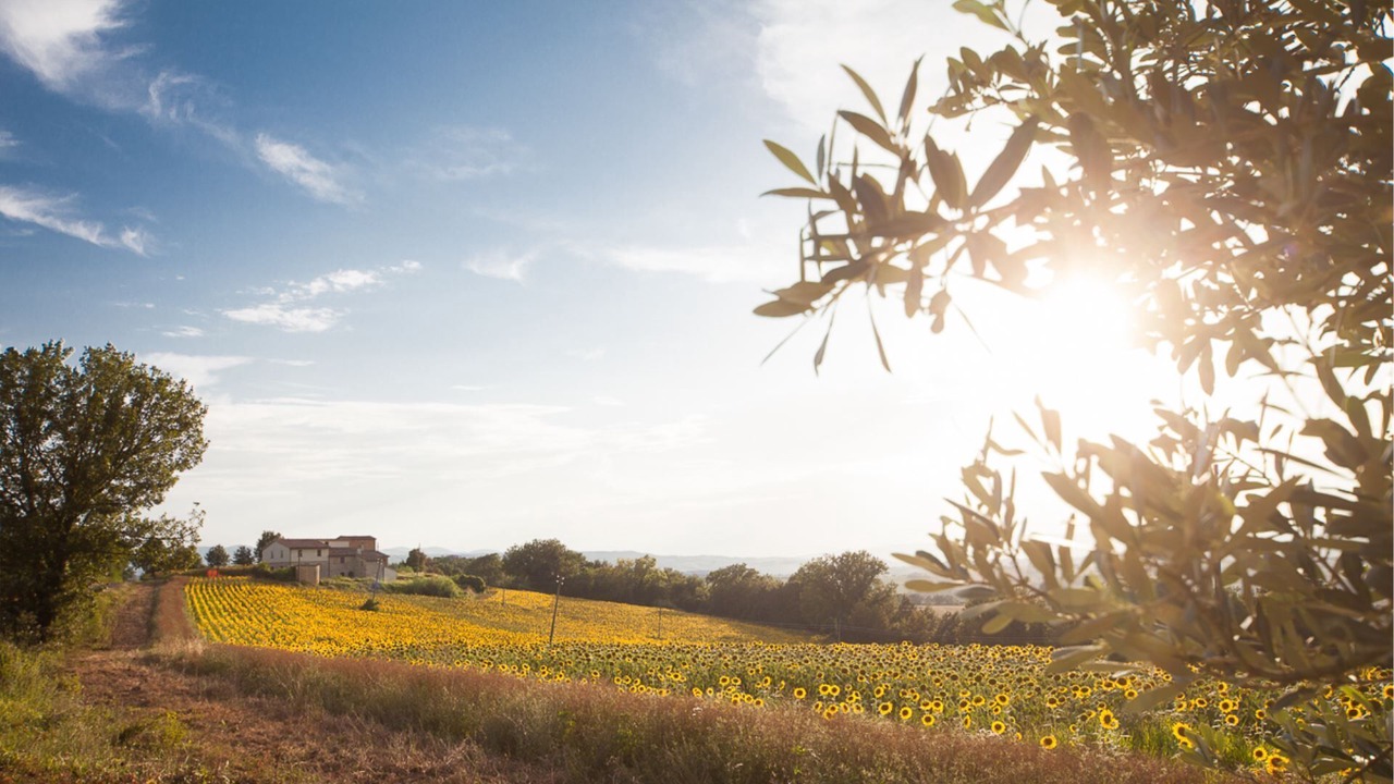Photo of Outdoor in Massa Martana