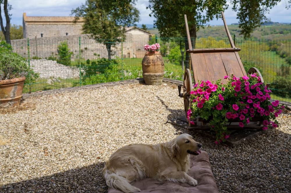 Photo of Others in Monteriggioni